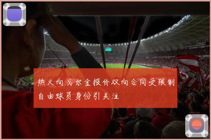 热火向戈尔金报价双向合同受限制自由球员身份引关注